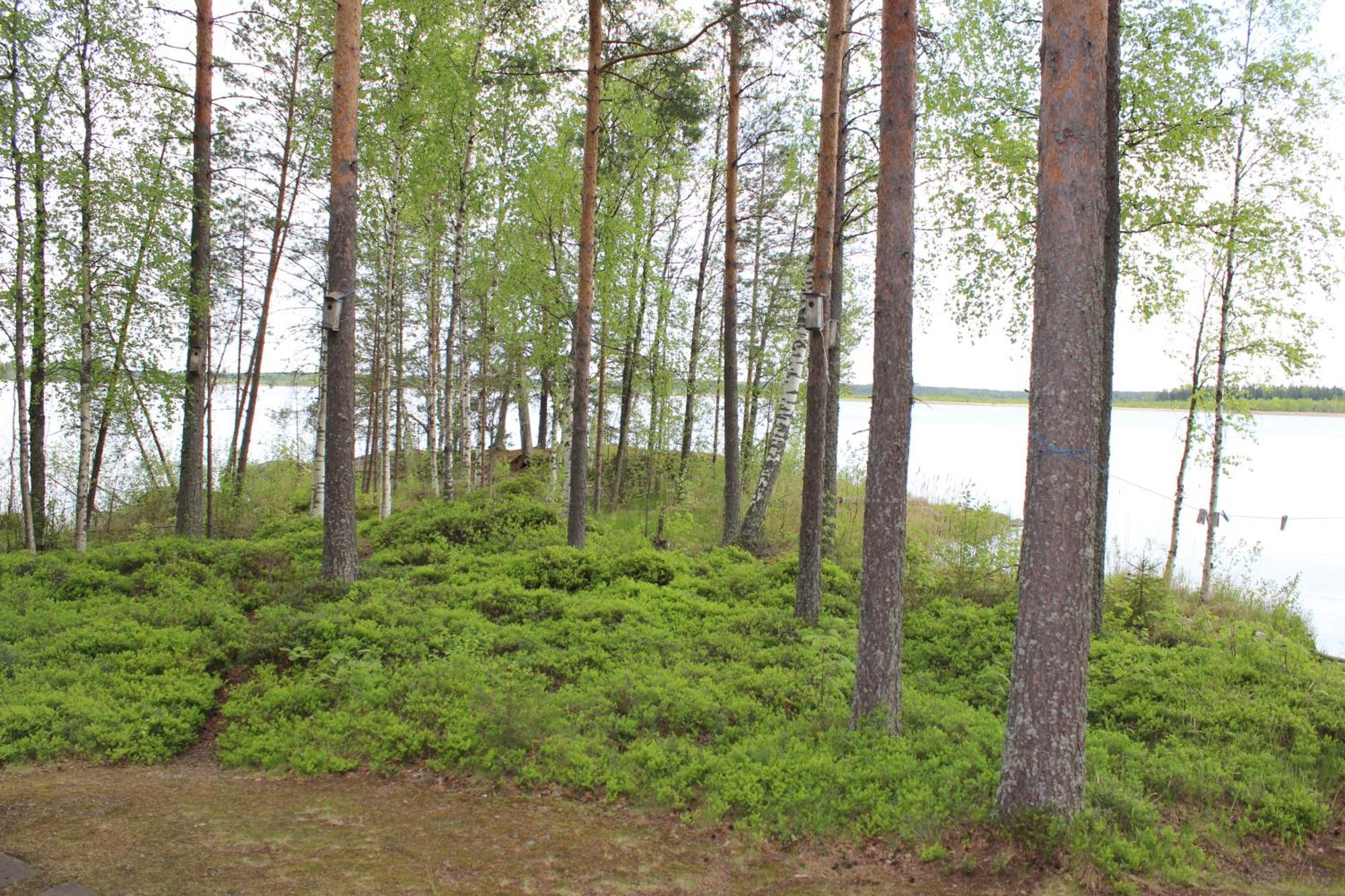 Lomamokkila Cottages Savonlinna Room photo